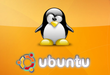 Ubuntu 12.04.1